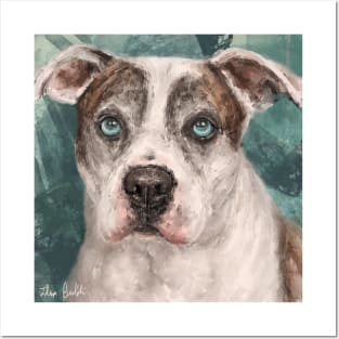 Painting of a Gorgeous Amstaff Dog with Blue Eyes Posters and Art